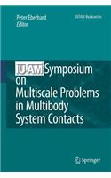 IUTAM Symposium on Multiscale Problems in Multibody System Contacts