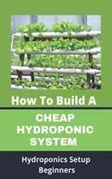 How To Build A Cheap Hydroponic System