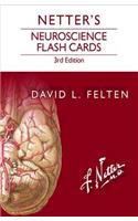 Netter's Neuroscience Flash Cards