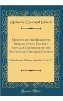 Minutes of the Sixteenth Session of the Detroit Annual Conference of the Methodist Episcopal Church: Held at Monroe, Michigan, September 13-18, 1871 (Classic Reprint)