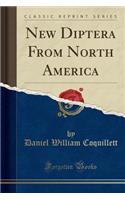 New Diptera from North America (Classic Reprint)