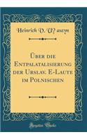 ï¿½ber Die Entpalatalisierung Der Urslav. E-Laute Im Polnischen (Classic Reprint)