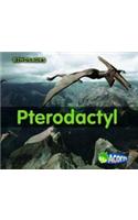 Pterodactyl