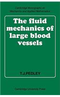 Fluid Mechanics of Large Blood Vessels