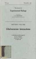 Glial-Neurone Interactions