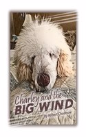 Charley and the Big Wind