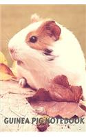 Guinea Pig Notebook