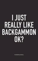 I Just Really Like Backgammon Ok?: A 6x9 Inch Matte Softcover Diary Notebook with 120 Blank Lined Pages and a Funny Gaming Cover Slogan