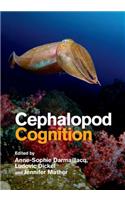 Cephalopod Cognition