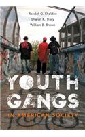 Youth Gangs in American Society