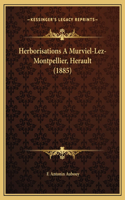 Herborisations A Murviel-Lez-Montpellier, Herault (1885)