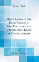 How a Lesion of the Brain Results in That Disturbance of Consciousness Known as Sensory Aphasia (Classic Reprint)