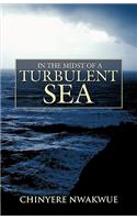 In The Midst Of A Turbulent Sea: (English)