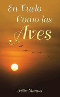 Vuelo Como las Aves
