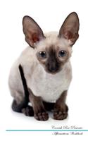 Cornish Rex Affirmations Workbook Cornish Rex Presents: Positive and Loving Affirmations Workbook. Includes: Mentoring Questions, Guidance, Supporting You.