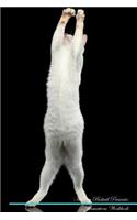 Mekong Bobtail Affirmations Workbook Mekong Bobtail Presents: Positive and Loving Affirmations Workbook. Includes: Mentoring Questions, Guidance, Supporting You.