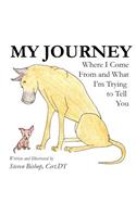 My Journey
