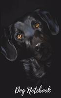 Dog Notebook