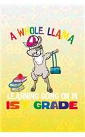 A Whole Llama Learning Going On 1st Grade