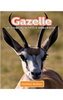 Gazelle: Fun Facts and Amazing Photos of Animals in Nature