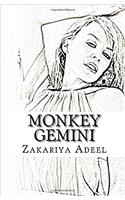Monkey Gemini: The Combined Astrology Series