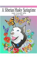 A Siberian Husky Springtime