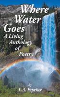 Where Water Goes
