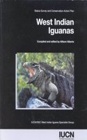 West Indian Iguanas