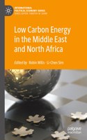 Low Carbon Energy in the Middle East and North Africa