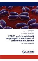 ECRG1 polymorphism & esophageal squamous cell carcinoma in Kashmir