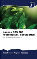 &#1061;&#1083;&#1086;&#1087;&#1086;&#1082; Brs 200 &#1082;&#1086;&#1088;&#1080;&#1095;&#1085;&#1077;&#1074;&#1099;&#1081;, &#1086;&#1088;&#1086;&#1096;&#1072;&#1077;&#1084;&#1099;&#1081;