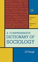 A COMPREHENSIVE DICTIONARY OF SOCIOLOGY (2 Volume Set)