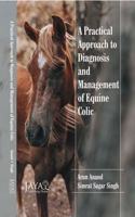 Practical Approach To Diagnosis And Management Of Equine Colic