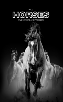 Wild Horses - Wild Nature and Freedom