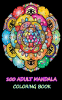 100 Adult Mandala Coloring Book: ntricate Patterns For Relaxation And Stress Relie _ Adult Coloring Book 100 Mandala Images Stress Management Coloring Book For Relaxation, Meditatio