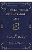 Recollections of Labrador Life (Classic Reprint)