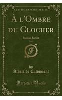 A l'Ombre Du Clocher, Vol. 2: Roman InÃ©dit (Classic Reprint)