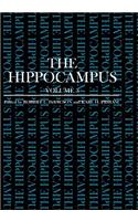 The Hippocampus