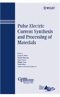 Pulse Electric Current Synthesis and Processing of Materials
