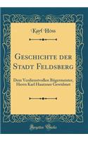Geschichte Der Stadt Feldsberg: Dem Verdienstvollen Bgermeister, Herrn Karl Hautzner Gewidmet (Classic Reprint)