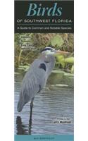 Birds of Southwest Florida: A Guide to Common & Notable Species