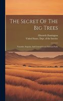 Secret Of The Big Trees