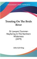 Trouting On The Brule River