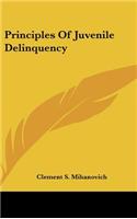 Principles of Juvenile Delinquency