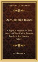 Our Common Insects