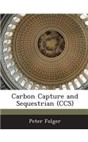 Carbon Capture and Sequestrian (CCS)