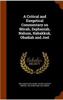 A Critical and Exegetical Commentary on Micah, Zephaniah, Nahum, Habakkuk, Obadiah and Joel