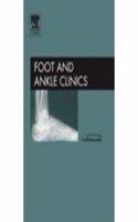 The Calcaneus, An Issue of Foot and Ankle Clinics: v. 10-3 (The Clinics: Orthopedics)