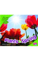 Plants in Spring
