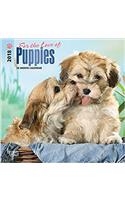 For the Love of Puppies 2018 Calendar
